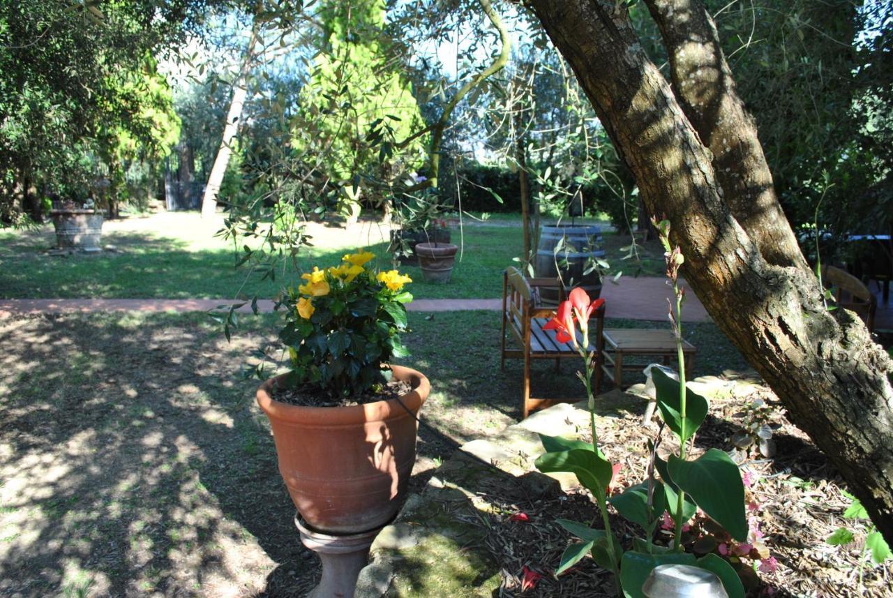 Agriturismo La Nicchia Castelnuovo Berardenga Εξωτερικό φωτογραφία