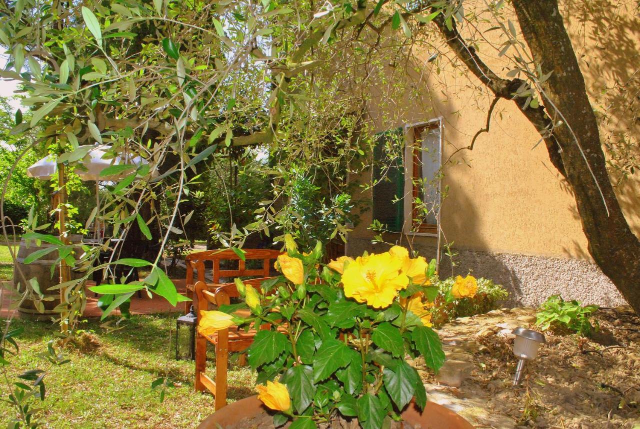 Agriturismo La Nicchia Castelnuovo Berardenga Εξωτερικό φωτογραφία