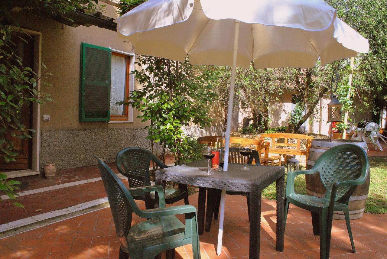 Agriturismo La Nicchia Castelnuovo Berardenga Εξωτερικό φωτογραφία