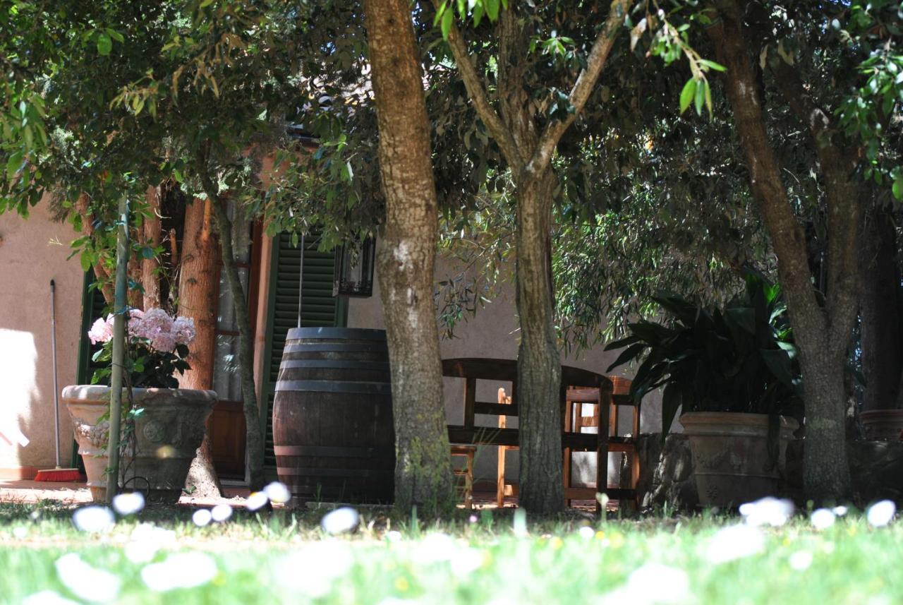 Agriturismo La Nicchia Castelnuovo Berardenga Εξωτερικό φωτογραφία