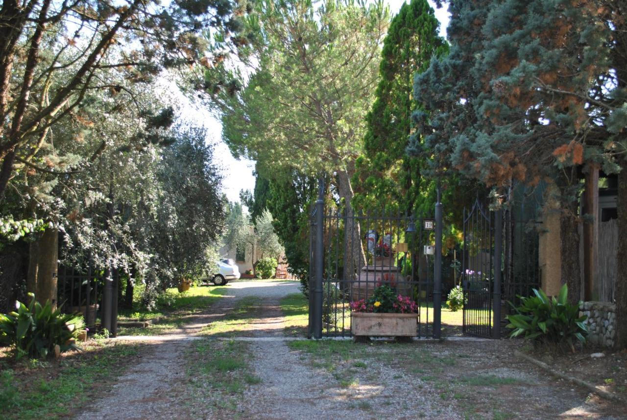 Agriturismo La Nicchia Castelnuovo Berardenga Εξωτερικό φωτογραφία