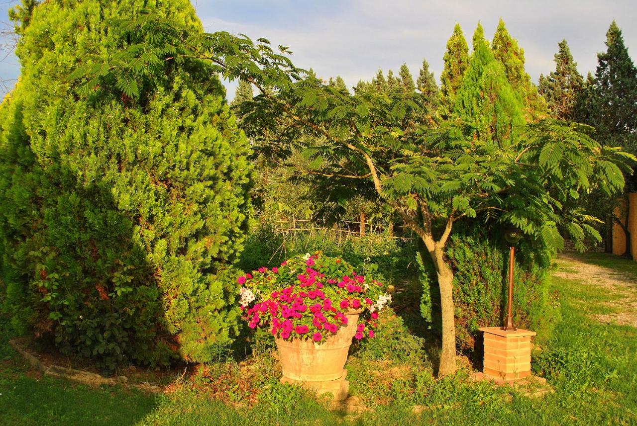 Agriturismo La Nicchia Castelnuovo Berardenga Εξωτερικό φωτογραφία
