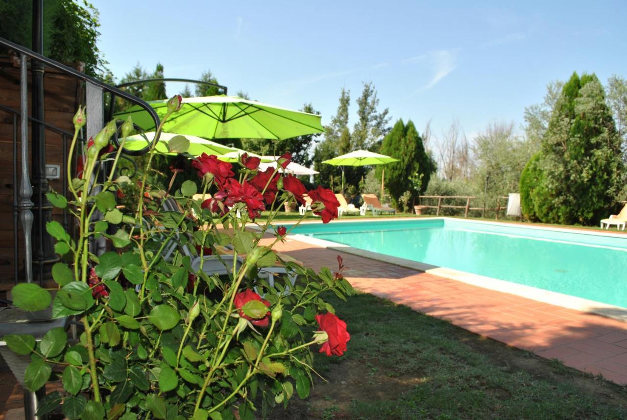Agriturismo La Nicchia Castelnuovo Berardenga Εξωτερικό φωτογραφία