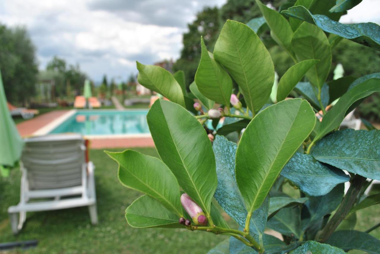 Agriturismo La Nicchia Castelnuovo Berardenga Εξωτερικό φωτογραφία