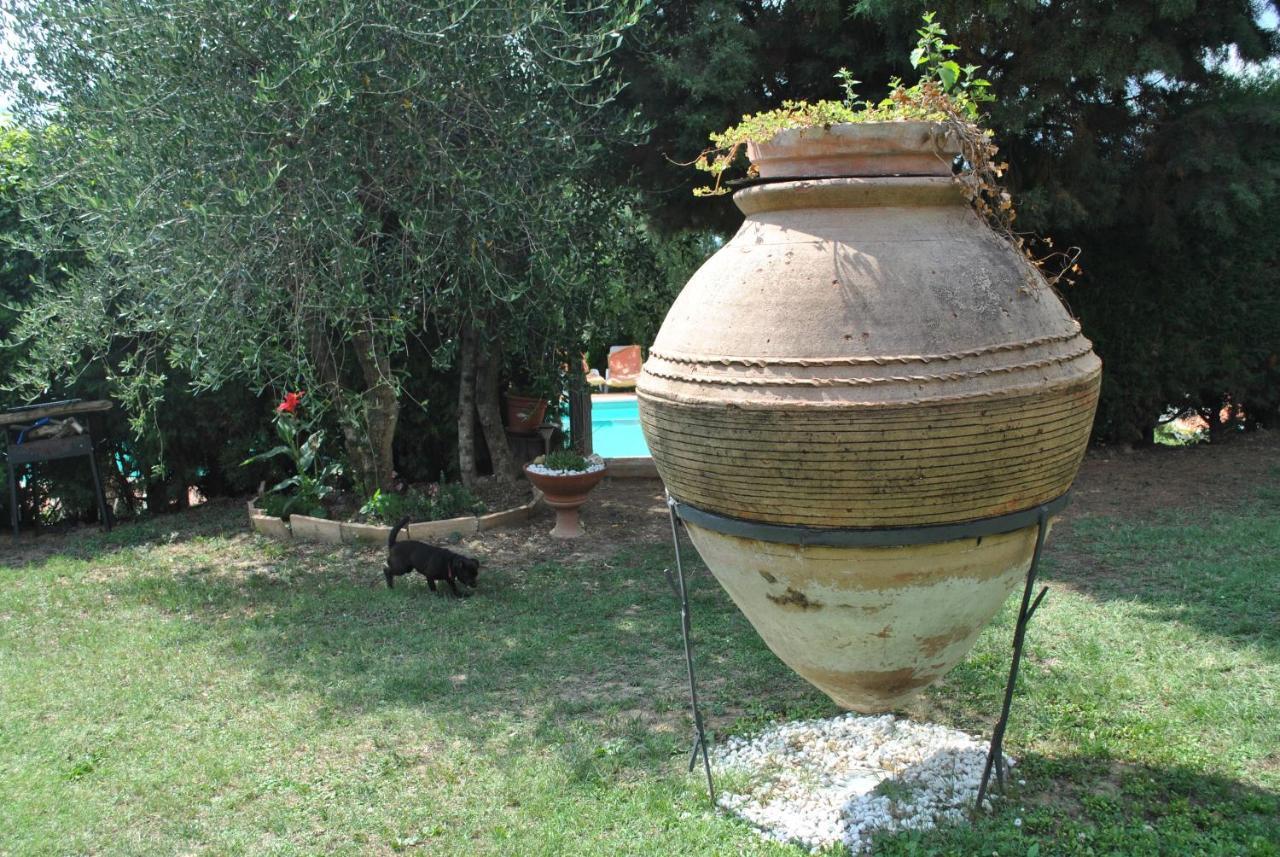 Agriturismo La Nicchia Castelnuovo Berardenga Εξωτερικό φωτογραφία
